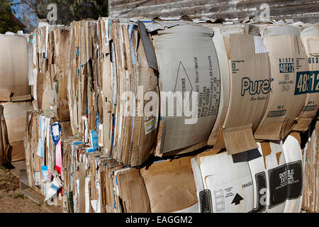 bales of cardboard for recycling Saskatchewan Canada Stock Photo
