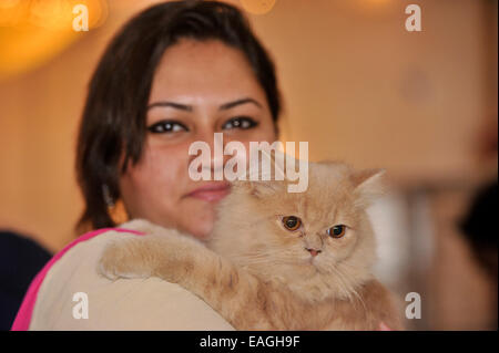 Cat owner proudly shows her pet. Cat Association of Bangladesh organized cat show at National Press Club in Dhaka. Native and foreign domestic cat was displayed. © Mohammad Asad/Pacific Press/Alamy Live News Stock Photo