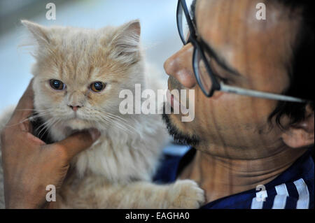 Cat owner proudly shows his pet. Cat Association of Bangladesh organized cat show at National Press Club in Dhaka. Native and foreign domestic cat was displayed. © Mohammad Asad/Pacific Press/Alamy Live News Stock Photo