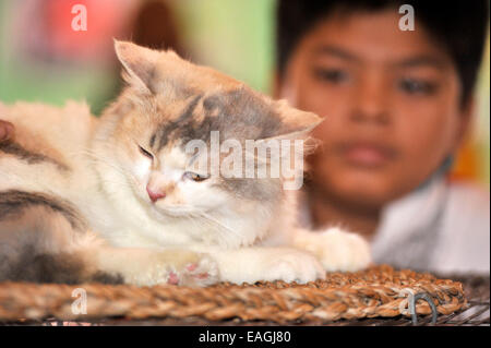 Cat owner proudly shows his pet. Cat Association of Bangladesh organized cat show at National Press Club in Dhaka. Native and foreign domestic cat was displayed. © Mohammad Asad/Pacific Press/Alamy Live News Stock Photo