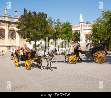 Horse and carriage rides for tourists through the historic central areas in Plaza del Triunfo, Seville, Spain Stock Photo