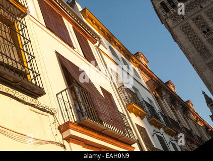 Late afternoon golden sunlight falling of historic houses in Placentines street, central Seville, Spain next to La Giralda tower Stock Photo