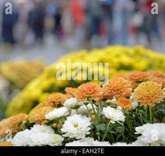 Autumn flowers on the market in rainy day with blurred silhouettes of people Stock Photo