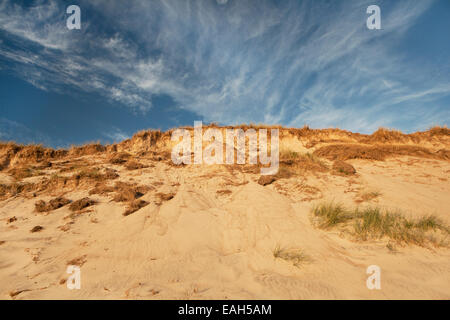 sand dunes on the North Sea in Hvide Sande Denmark with blue sky Stock Photo