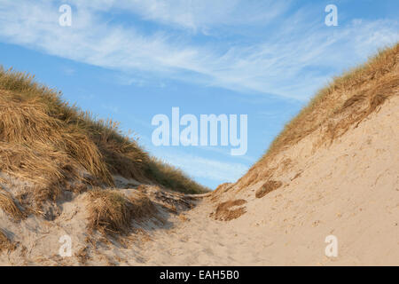 sand dunes on the North Sea in Hvide Sande Denmark with blue sky Stock Photo