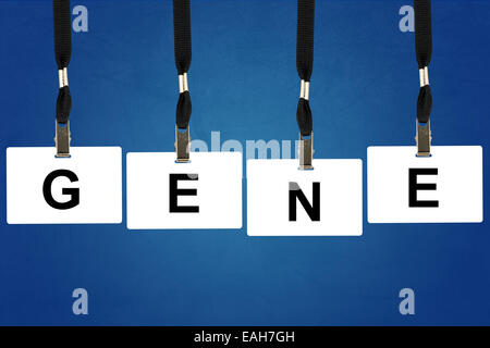 gene word on badge with blue background Stock Photo