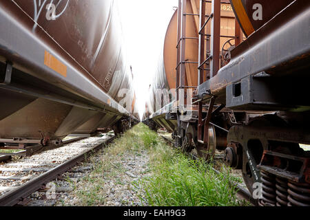 freight grain trucks on former canadian pacific railway now great sandhills railway through leader Saskatchewan Canada Stock Photo