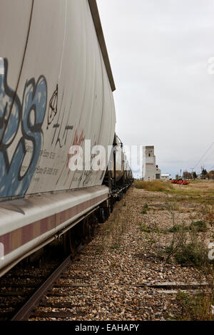 freight grain trucks on canadian pacific railway through assiniboia Saskatchewan Canada Stock Photo