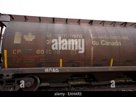 government of canada freight grain trucks on canadian pacific railway Saskatchewan Canada Stock Photo