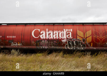 Canada freight grain trucks on canadian pacific railway Saskatchewan Canada Stock Photo