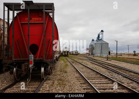 freight grain trucks on canadian pacific railway at assiniboia depot Saskatchewan Canada Stock Photo