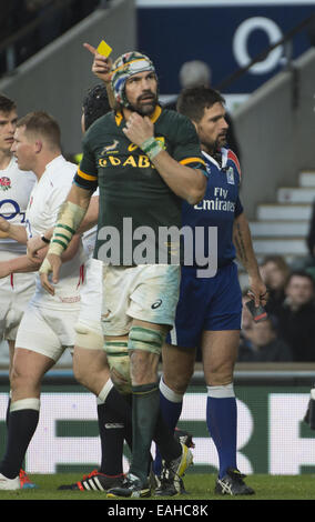 London, Middlesex, UK. 15th Nov, 2014. November 15, 2014 South Africa's Lock VICTOR MATFIELD is shown the yellow card and sent for 10 minutes in the sin bin for collapsing a maul during the second half of the match between the England -V- South Africa match at Twickenham Stadium: Steve Flynn-ZUMA Press Credit:  Steve Flynn/ZUMA Wire/Alamy Live News Stock Photo