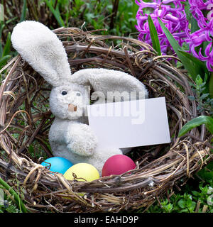 Easter bunny with easter eggs and card in a nest Stock Photo