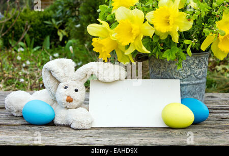 Easter bunny with easter eggs and daffodils Stock Photo