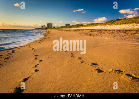 Footprints in the sand at Coral Cove Park, Jupiter Island, Florida. Stock Photo