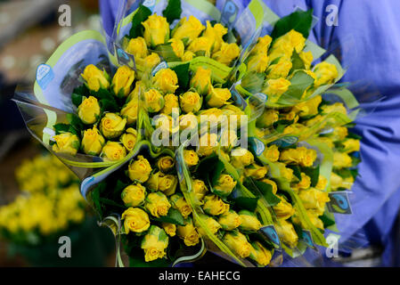 KENYA Thika near Nairobi, Simbi Roses is a fair trade rose flower farm which produces cutting flowers for export to europe Stock Photo