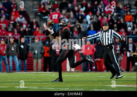 Piscataway, New Jersey, USA. 15th Nov, 2014. Rutgers wide receiver, ANTHONY TURZILLI (19), reaches to catch a pass against Indiana in a game at Highpoint Solutions Stadium in Piscataway, New Jersey. © Joel Plummer/ZUMA Wire/Alamy Live News Stock Photo