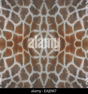 Beautiful seamless pattern made from Giraffe skin Stock Photo