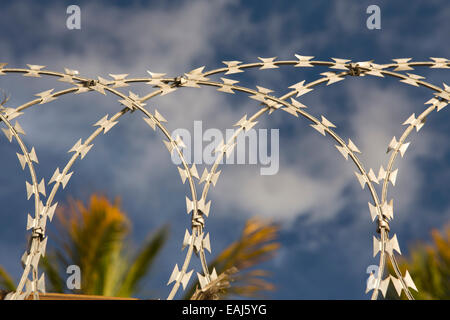 Mauritius, Pereybere, security, razor wire on fence securing property Stock Photo