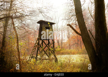 Hunting pulpit in forest at sunrise, Poland. Stock Photo