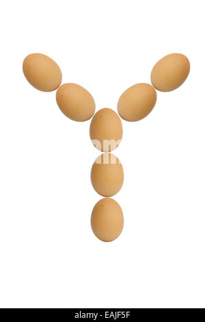 Alphabets  A to Z from brown eggs alphabet isolated on white background, Y Stock Photo