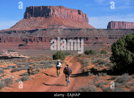 Mountain bikers ride the White Rim Road near Island in the Sky in Canyonlands National Park near Moab, Utah. Stock Photo