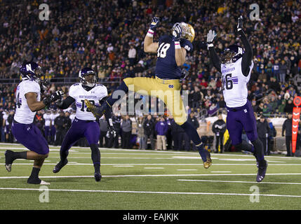 Northwestern Wildcats safety Godwin Igwebuike (16) celebrates after a  tackle against the Tennessee Volunteers Friday, Jan.