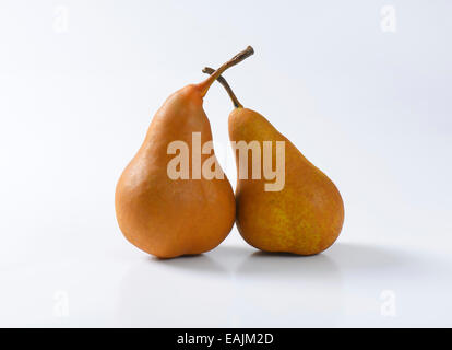 Two European pears with elongated slender neck and russeted skin Stock Photo