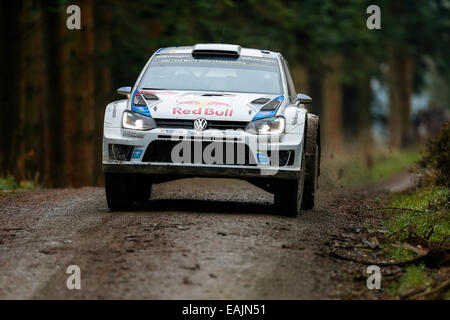 Cerrigydrudion, Wales. 16th Nov, 2014. FIA World Rally Championship, Wales Rally GB. Recently crowned World Champions Sebastien Ogier and Julien Ingrassia of France compete in the Volkswagen Motorsport Polo R WRC during the Alwen 1 Stage on Day Four. Credit:  Action Plus Sports/Alamy Live News Stock Photo