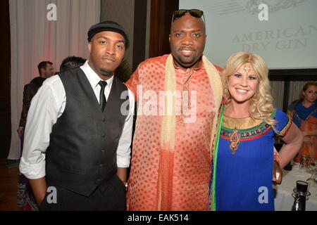 Rollins family foundation bollywood night hi-res stock photography