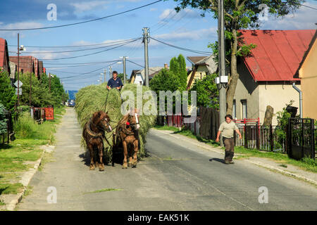 Slovakia, Banska Bystrica region, Horses and cart Stock Photo