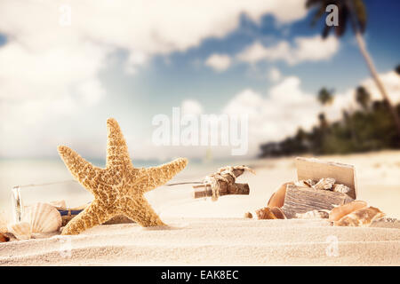 Summer concept with sandy beach, shells and starfish. Stock Photo