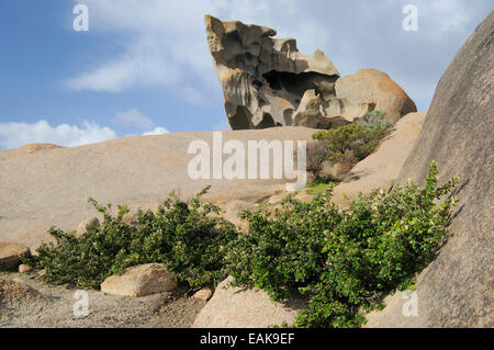 Remarkable Rocks, Flinders-Chase-Nationalpark, Kangaroo Island, South Australia, Australia Stock Photo