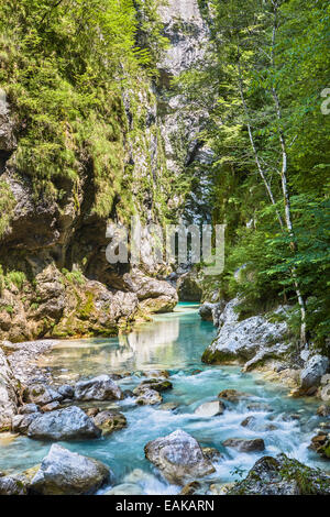 Tolmin Gorge, Emerald Route, Nationalpark Triglav, Region Primorska, Slowenien, Tolmin, Goriška, Slovenia Stock Photo