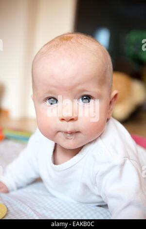 Baby, 4-5 months old, Germany Stock Photo