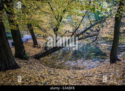 Oliwski Park in Gdansk, Poland Stock Photo