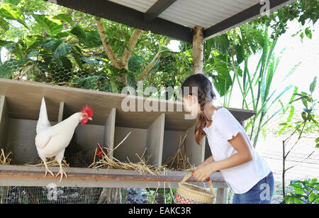 Girl with basket searching for eggs in chicken coop Stock Photo