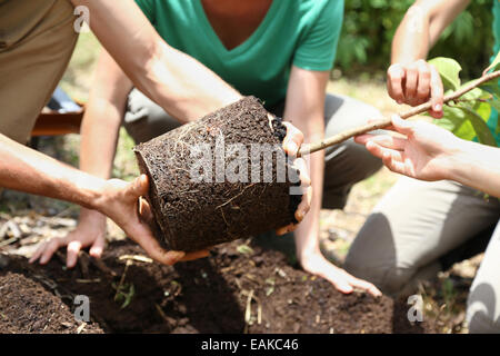 People planting tree in garden Stock Photo