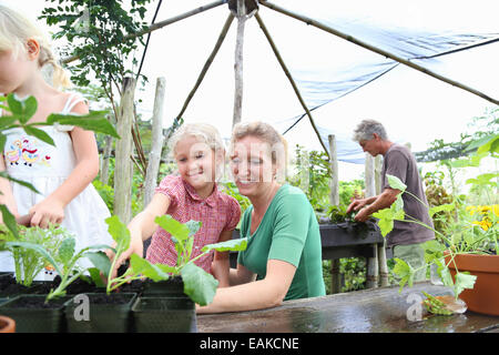 Smiling woman with two girls looking at seedlings in greenhouse, man in background Stock Photo