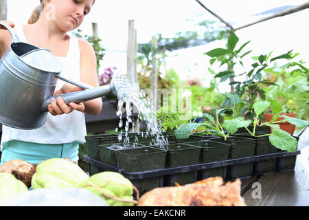 Girl watering potted seedlings with watering can in greenhouse Stock Photo
