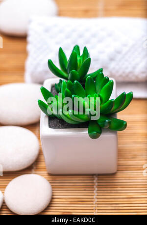 Spa Settings on beige  thin bamboo mat: green flower, stones, towel and mat. Stock Photo
