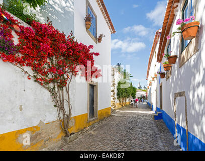 Alley with floral decorations, Óbidos, Leiria District, Portugal Stock Photo