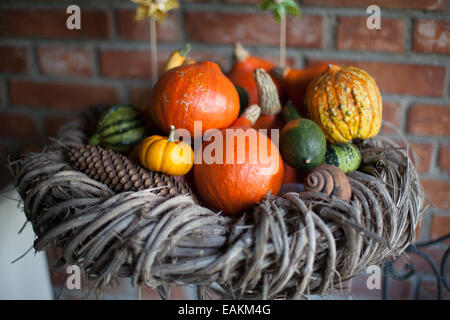 Freshly harvested pumpkins in a wooden nest Stock Photo