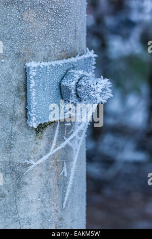 macro shot of a small spider web covered with hoarfrost in winter Stock Photo