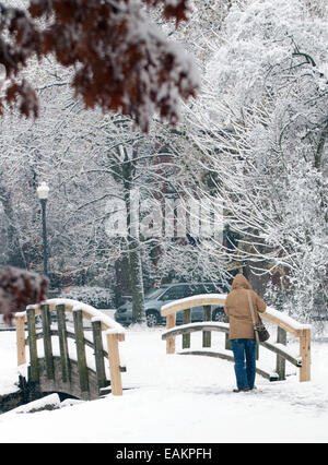 Columbus, Ohio, USA. 17th Nov, 2014. A local German Village resident walks throught the snow with at Schiller Park, German Village, Columbus, Ohio. It was the first snow of the winter. Credit:  Brent Clark/Alamy Live News Stock Photo