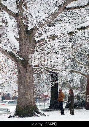 Columbus, Ohio, USA. 17th Nov, 2014. Local German Village Residents admire the new fallen snow on the trees at Schiller Park, German Village, Columbus, Ohio. It was the first snow of the winter. Credit:  Brent Clark/Alamy Live News Stock Photo