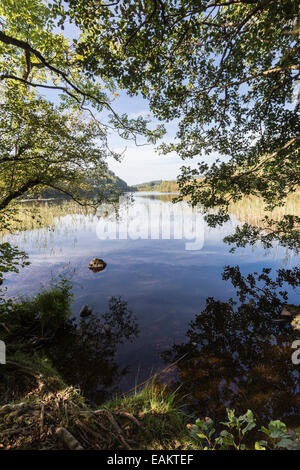 Barnluasgan Loch in West Argyll in Scotland. Stock Photo