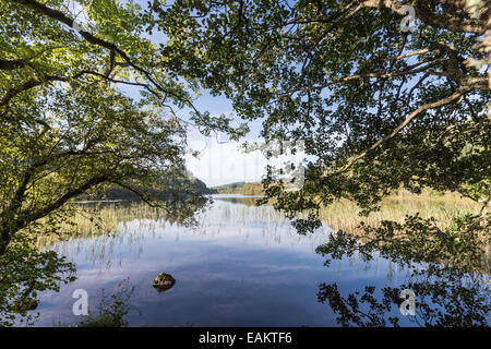 Barnluasgan Loch in West Argyll area of Scotland. Stock Photo