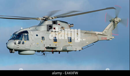 Royal Navy Merlin MK2 Aircraft from RNAS Culdrose Stock Photo