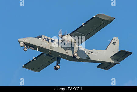 Army Air Core Britten Norman Defender Stock Photo